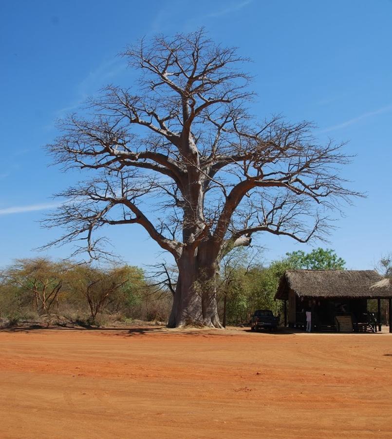 Terre D'Afrique Hotel Popenguine Esterno foto